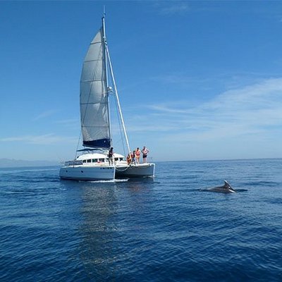 Catamaran dolphin tours with Hen Weekend Marbella, hen guided tours at sea
